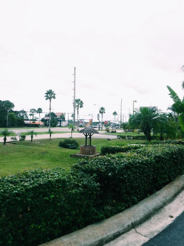 Red Carpet Inn Kissimmee image 14